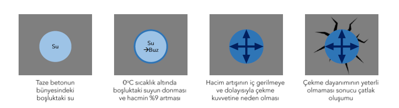 Resim Başlığı