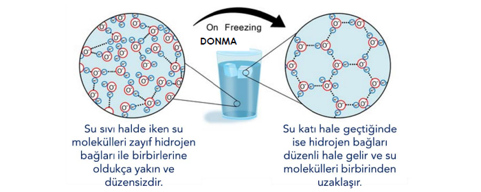 Resim Başlığı